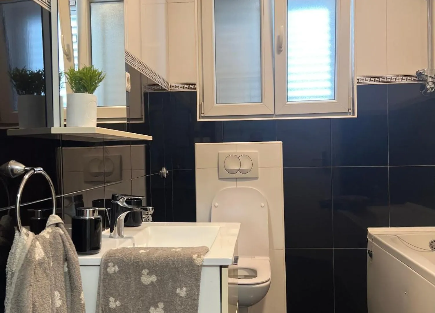 Apartment Meri Bibinje